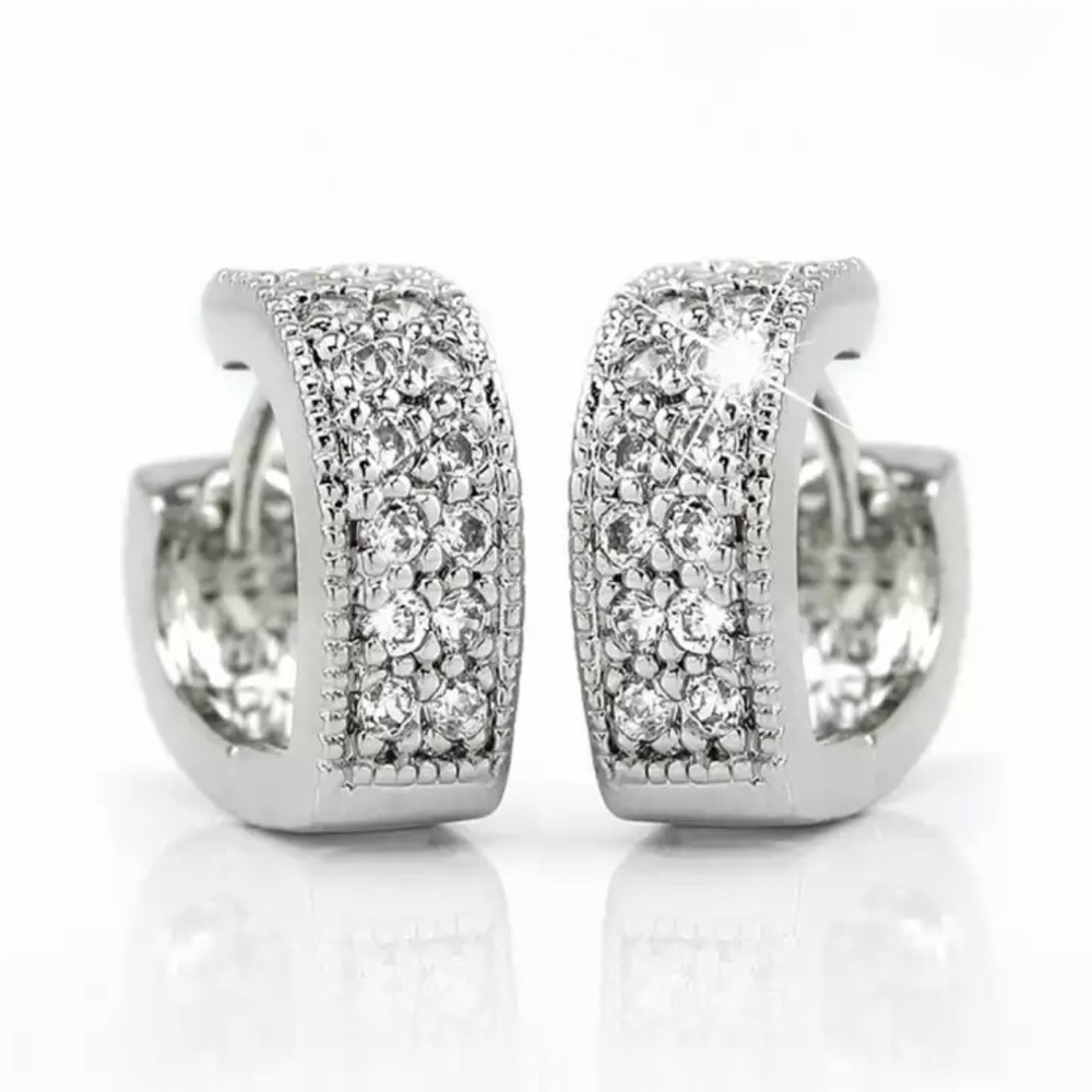 ⛔️SOLD⛔️🆕 Zircon Hoop Clasp Earrings